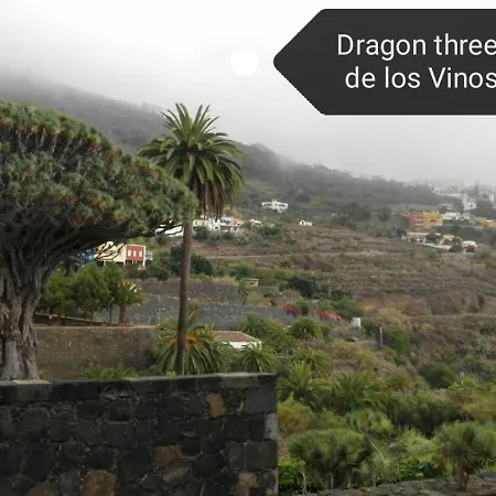 Homestay Geranios N.25